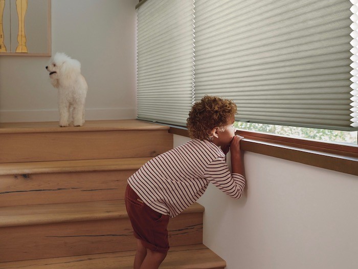 Kid peering out shades and dog on stairs