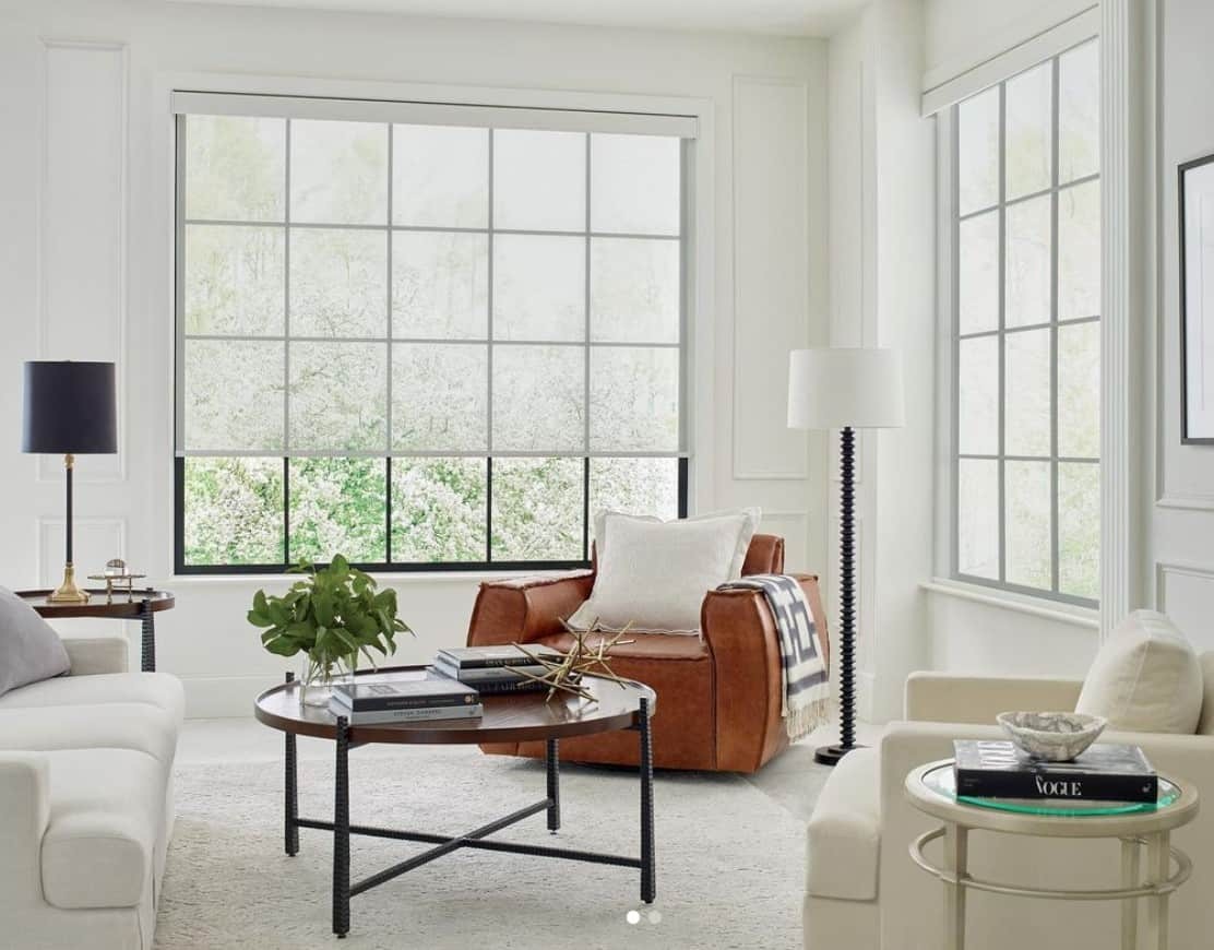 Designer Roller Shades and Duette® Honeycomb Shades by Hunter Douglas near Raleigh-Durham, North Carolina (NC).