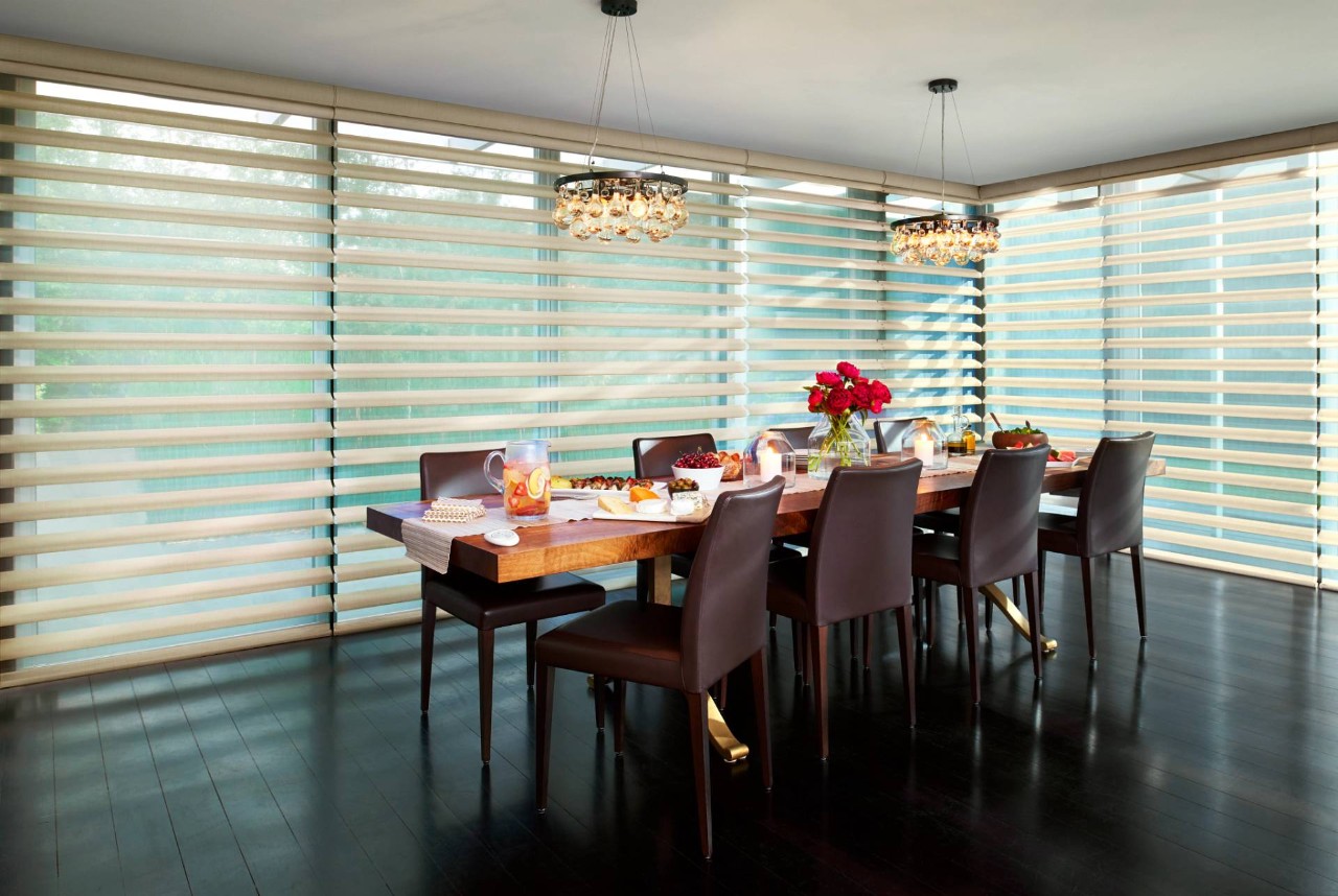 Hunter Douglas Pirouette® Sheer Shades near Apex, North Carolina (NC)